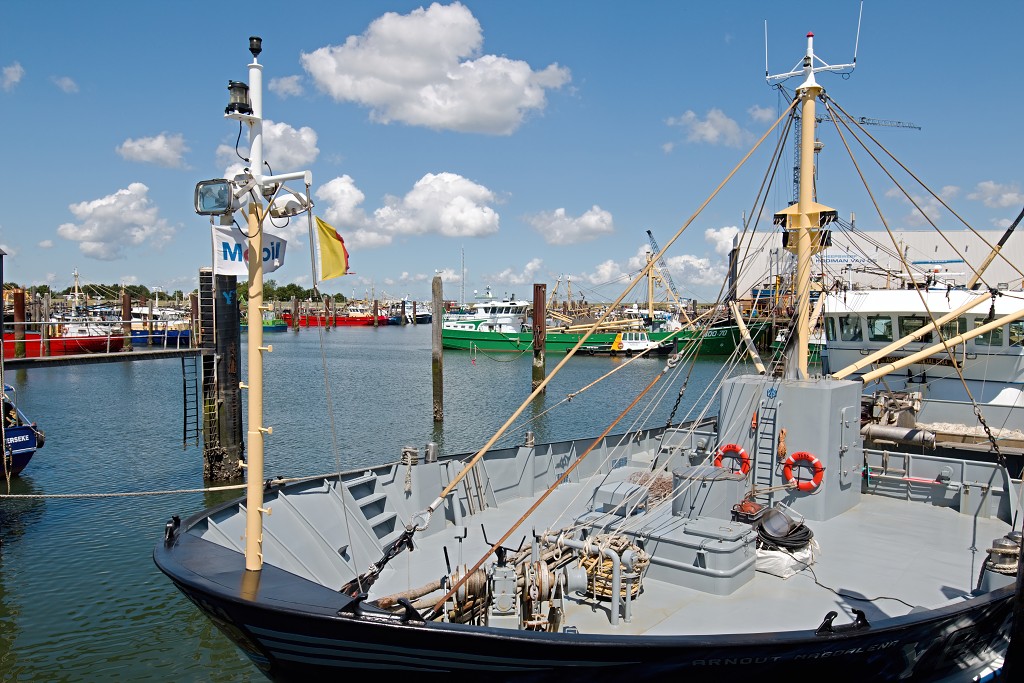 yerseke mossel oester mossels oesters oesterputten hdr kweek zeeland oosterschelde visserij